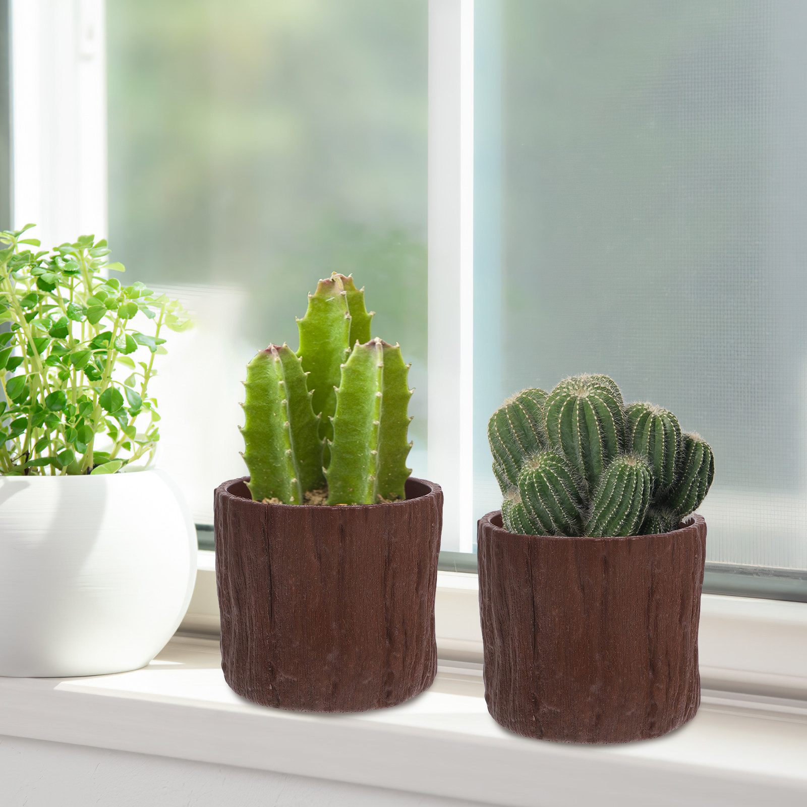 Succulent Arrangement Mini - 4 sztuki doniczek z imitacją drewna,