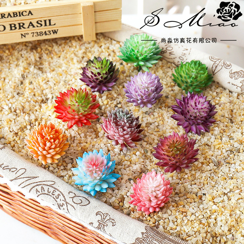 Succulent Arrangement Mini - Sztuczne sukulenty uciekające rośliny Mini sztuczny