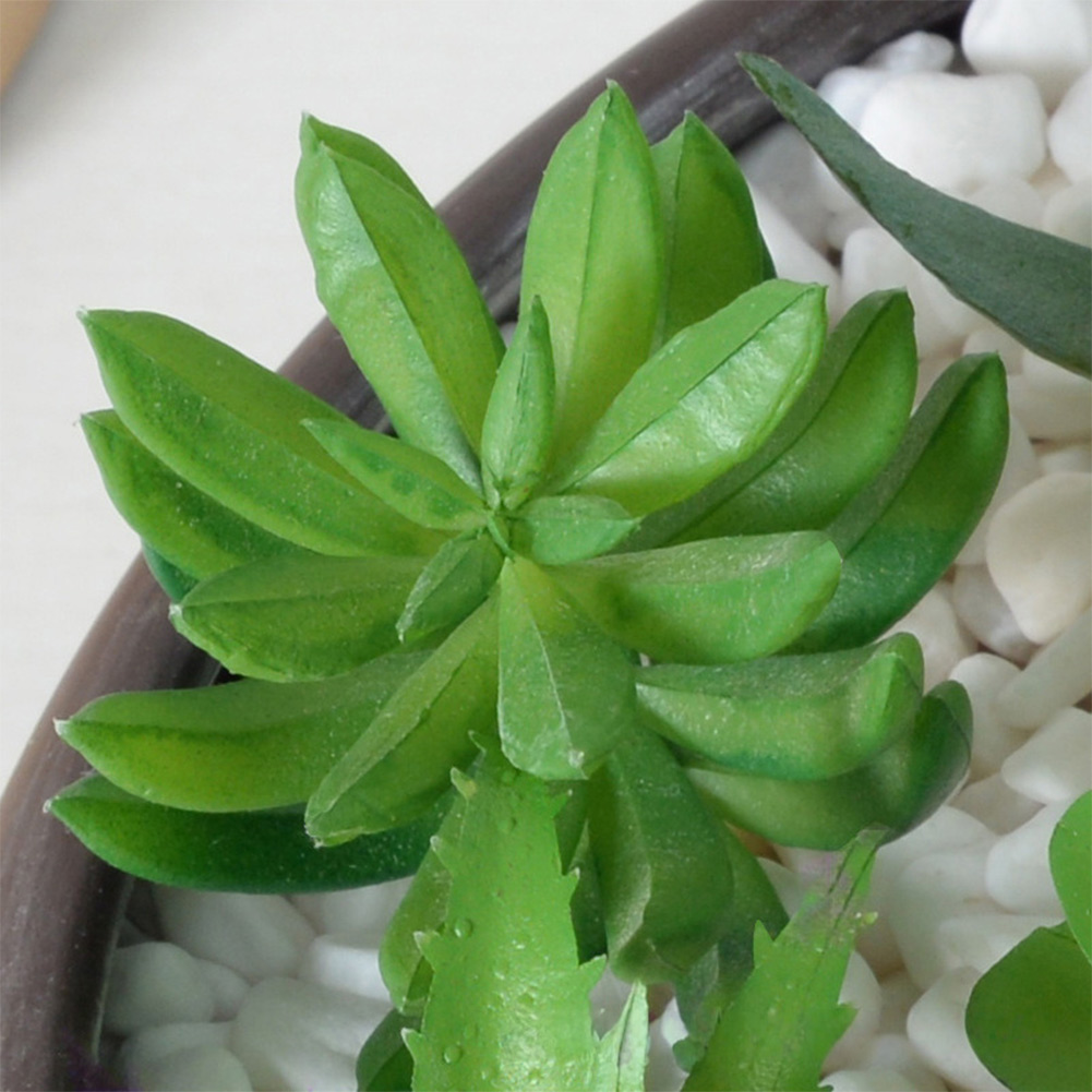 Succulent Arrangement Mini - Nowoczesne, sztuczne kompozycje sukulentów o tematyce