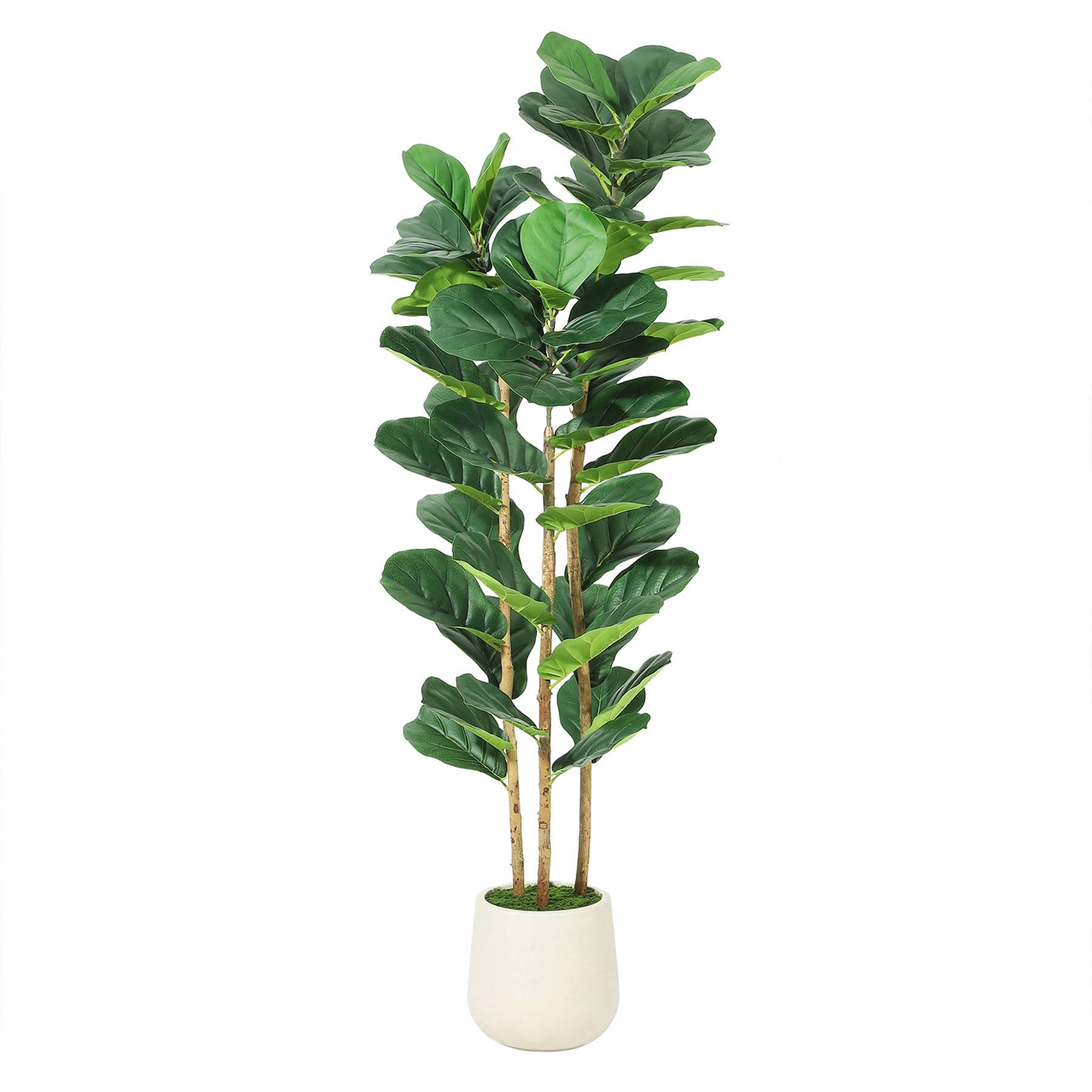 Sztuczny figowiec lirolistny z – Rubber Plant Ficus recenzja i cena