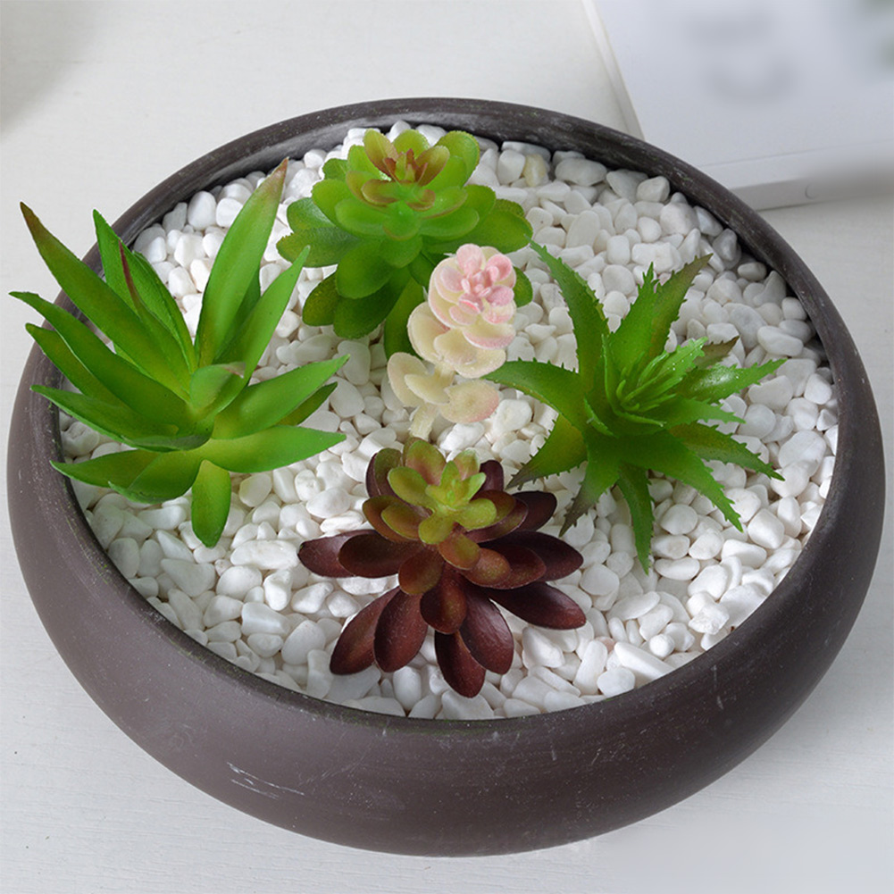 Sztuczne rośliny do mini bonsa – Succulent Arrangement Mini recenzja i cena