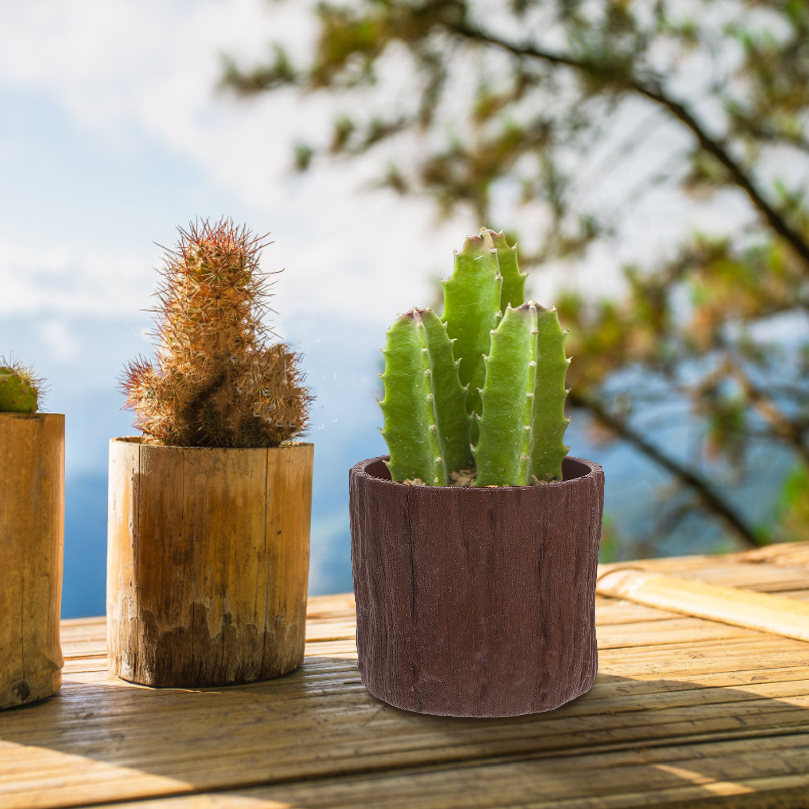 4 sztuki doniczek z imitacją d – Succulent Arrangement Mini recenzja i cena