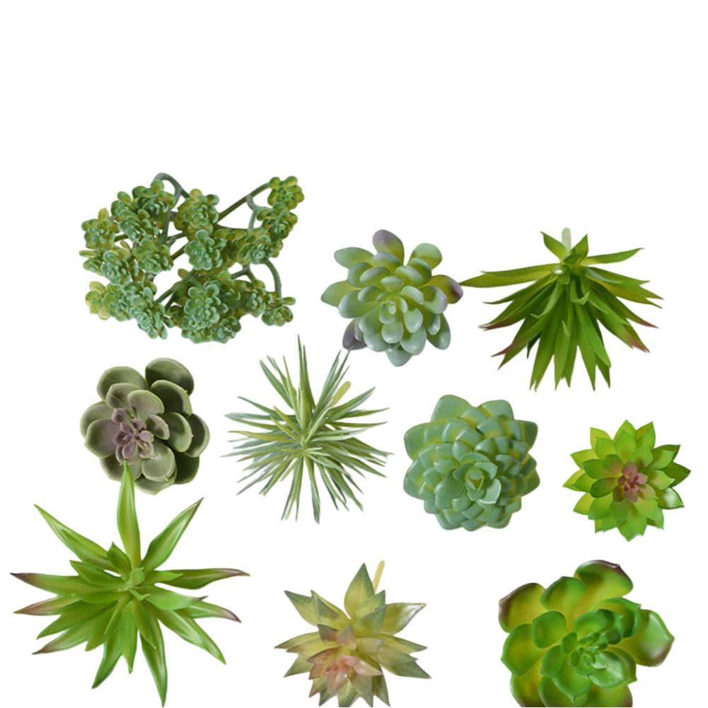 Plastikowe elementy do aranżac – Succulent Arrangement Mini recenzja i cena