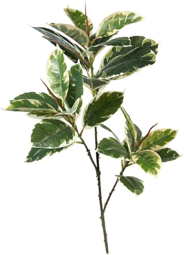 Ficus Tineke sztuczna roślina  – Rubber Plant Ficus recenzja i cena