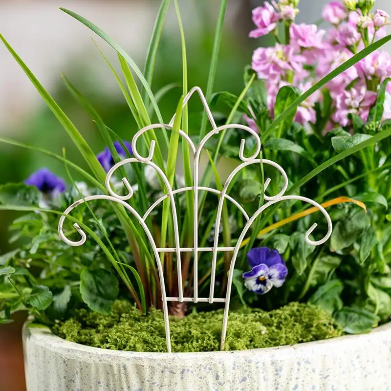 Urocza mini żelazna doniczka z – Succulent Arrangement Mini recenzja i cena
