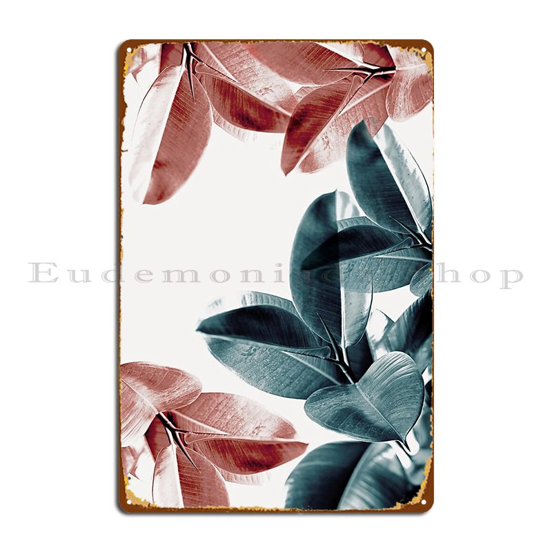 Rubber Plant Leaves Green And  – Rubber Plant Ficus recenzja i cena