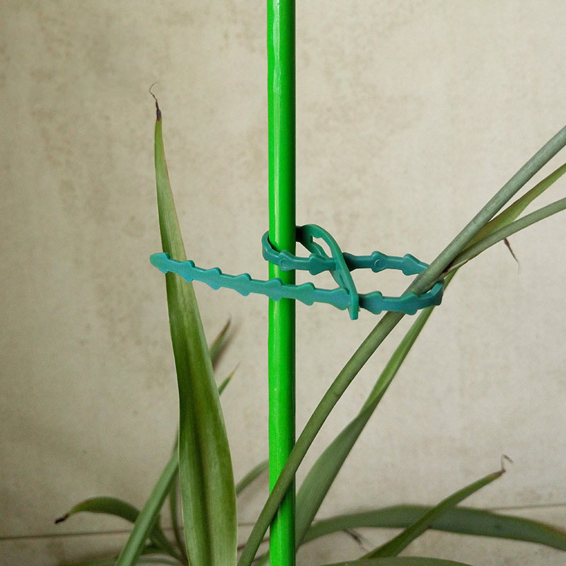 50/100 sztuk wielokrotnego uży – Plant Parent Tools recenzja i cena