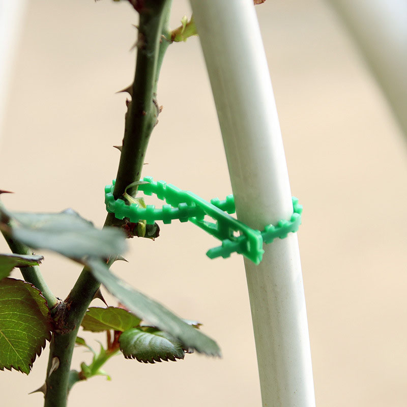 50/100 sztuk wielokrotnego uży – Plant Parent Tools recenzja i cena