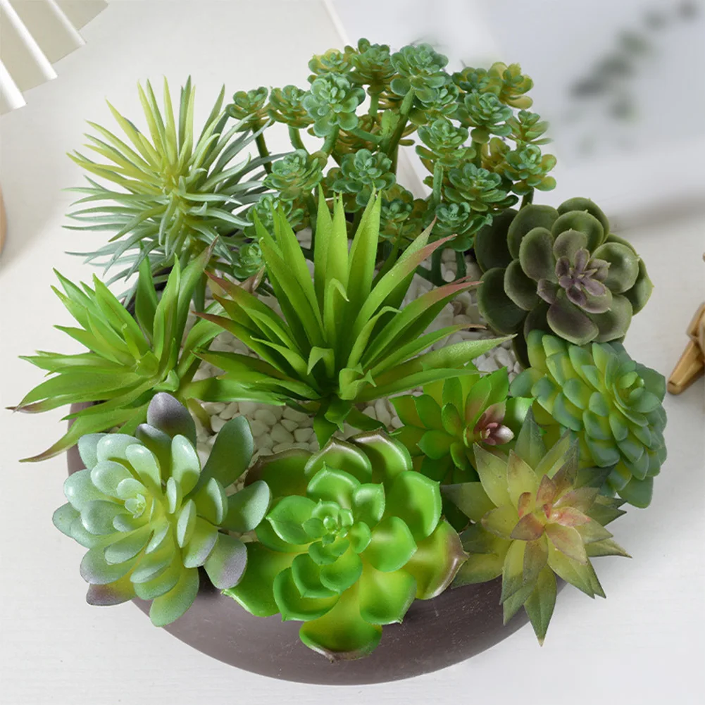 Niskie koszty utrzymania mini  – Succulent Arrangement Mini recenzja i cena