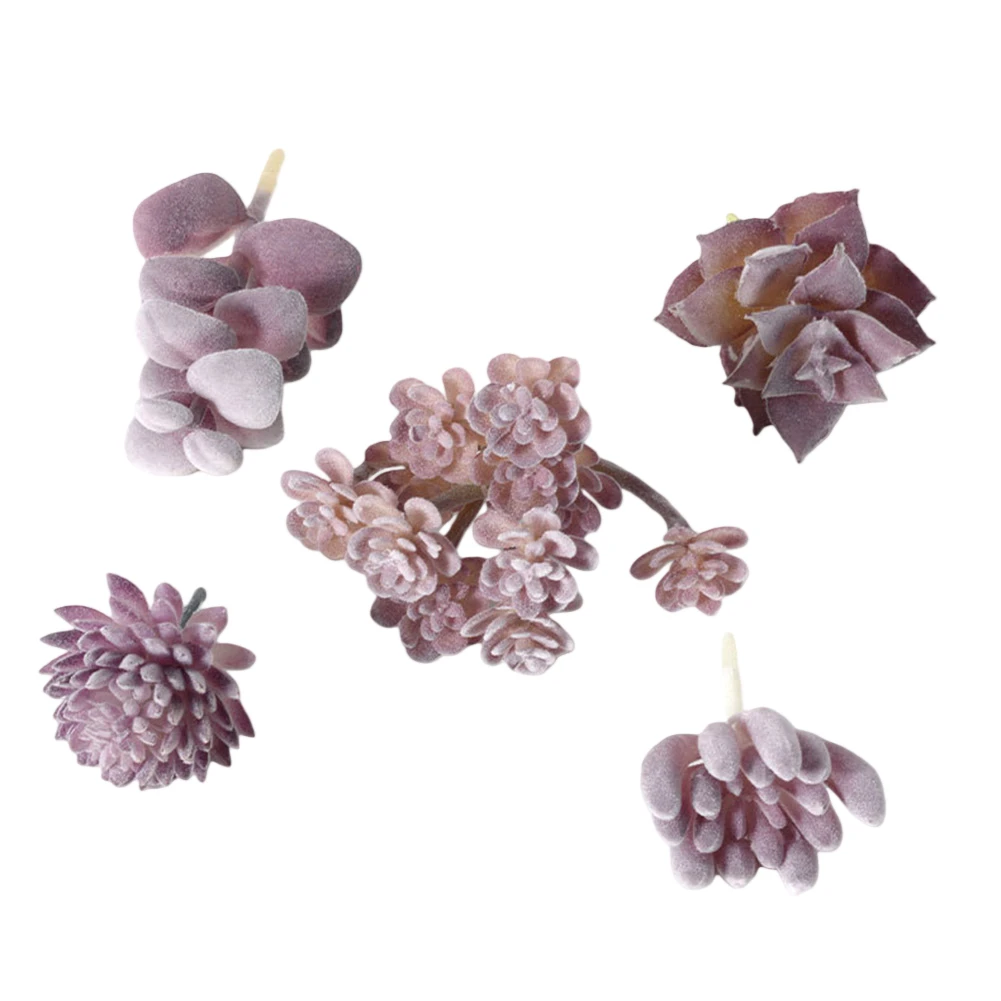 Niskie koszty utrzymania mini  – Succulent Arrangement Mini recenzja i cena