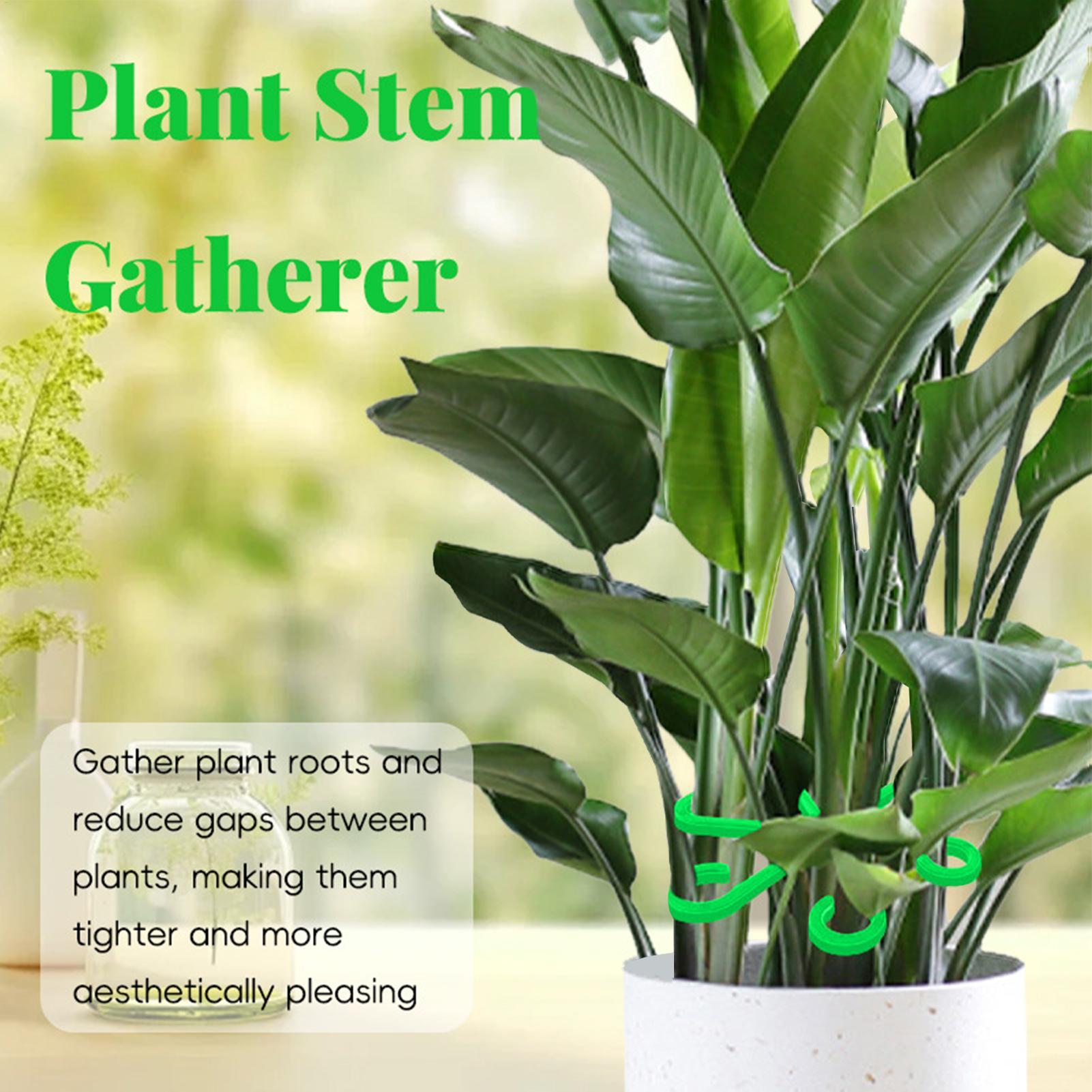 4 szt. Klipsy do mocowania roś – Plant Parent Tools recenzja i cena