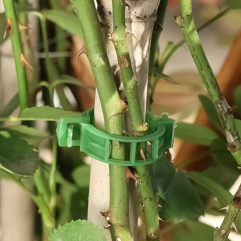 100/10 SZT. Klipsy do podpiera – Plant Parent Tools recenzja i cena