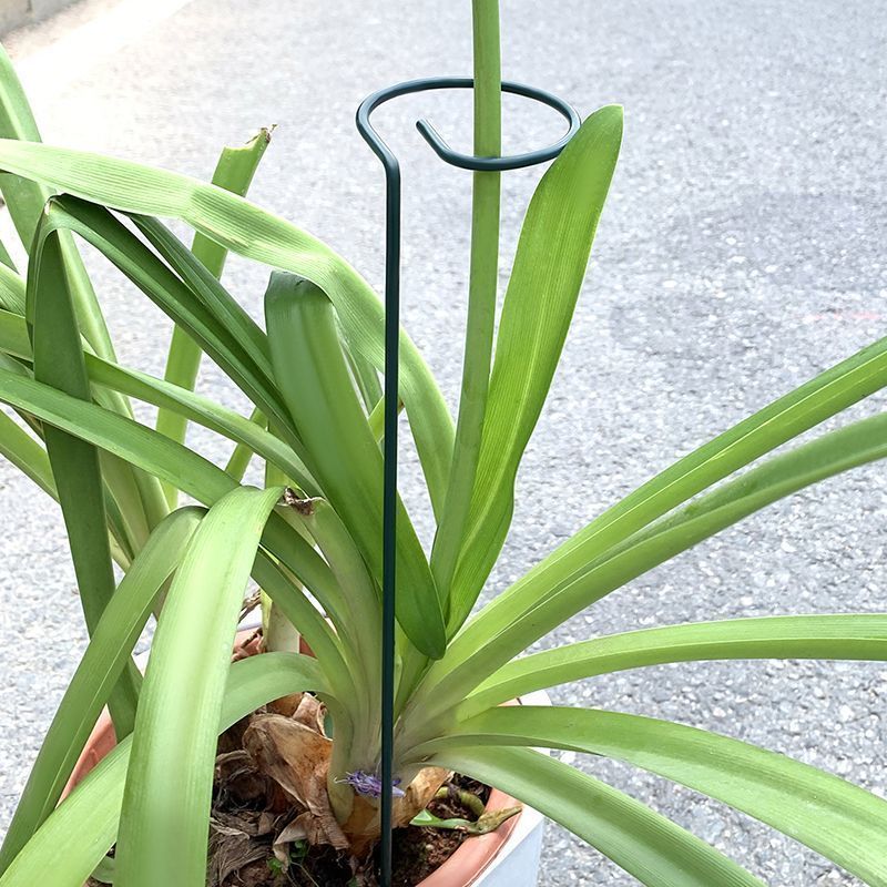1-10 szt. Metalowy pojedynczy  – Plant Parent Tools recenzja i cena