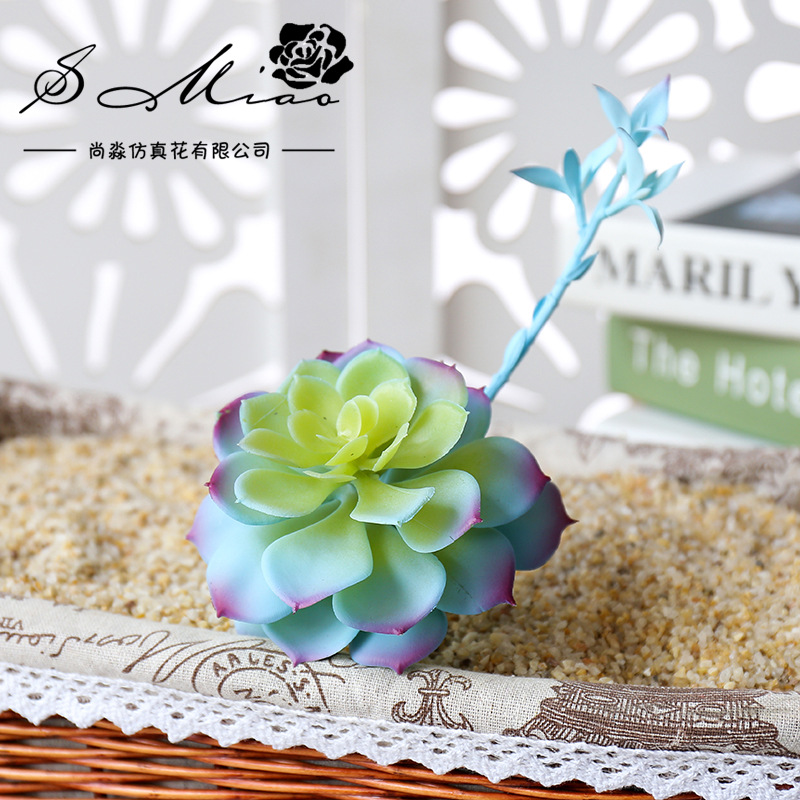 Wusmart Zhong Shi Lian Duże Sz – Succulent Arrangement Mini recenzja i cena