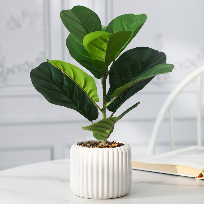 38cm Sztuczne drzewo figowe Sz – Rubber Plant Ficus recenzja i cena
