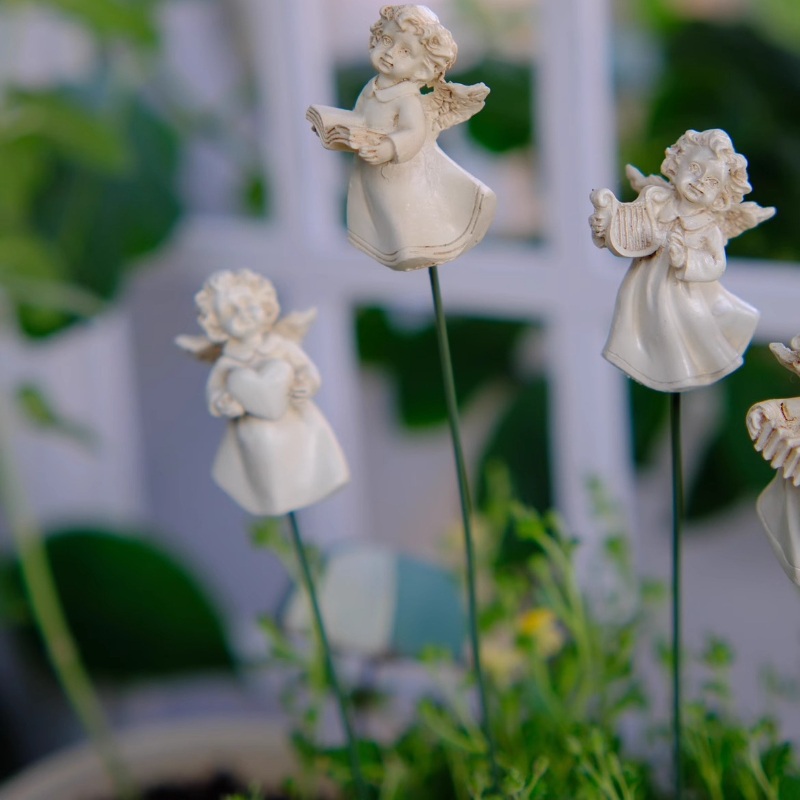 Aniołek Kompozytor Kwiatów do  – Succulent Arrangement Mini recenzja i cena