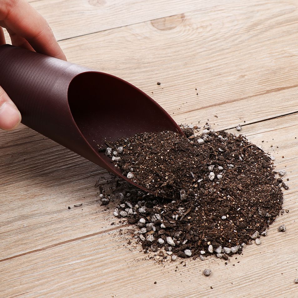 Plastikowa łopatka do gleby, k – Plant Parent Tools recenzja i cena